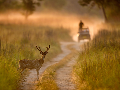 Jim Corbett